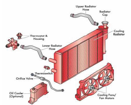 Tire bead transferred over wheel rim during mounting procedure
