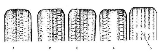 Buick Enclave tire wear pattern examples for diagnosis