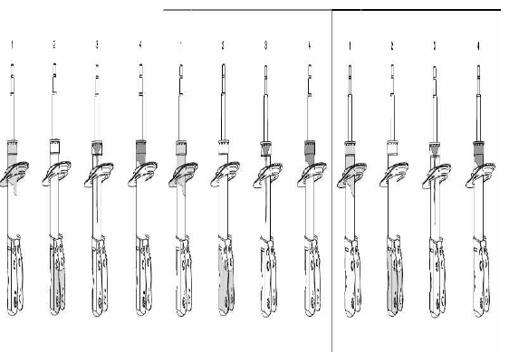 Front strut oil leak condition comparison chart